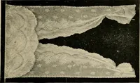 An illustration from Sanitary Manufacturing Company ... rugs and art squares, lace curtains and upholstery goods. (1904)