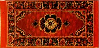 An illustration from Sanitary Manufacturing Co., Inc., manufacturers of Brusselette art rugs and upholstery specialties. (1902)