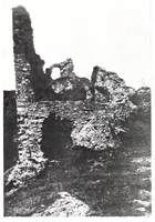 An illustration from Santa Caterina Fieschi-Adorno e i Genovesi : cenni biografici storici ed artistici (1910)