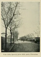 Picture 8 of 40 from Santa Maria della Quercia (1904), leaf 46