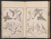 An illustration from Santei gafu (1816)