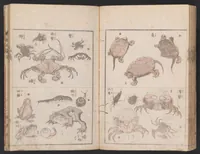 An illustration from Santei gafu (1816)