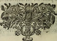 An illustration from Saphira veneziana, e Jacinto portuguez : vida, morte, heroycas virtudes, & maravilhas ràras do gloriosissimo protopatriarcha S. Lourenço Justiniano, e do veneravel padre Antonio da Cõceiçam : livro unico, historico, & panegirico (1677)