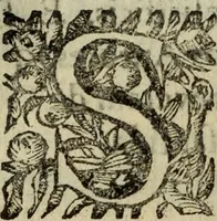 An illustration from Saphira veneziana, e Jacinto portuguez : vida, morte, heroycas virtudes, & maravilhas ràras do gloriosissimo protopatriarcha S. Lourenço Justiniano, e do veneravel padre Antonio da Cõceiçam : livro unico, historico, & panegirico (1677)
