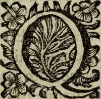 An illustration from Saphira veneziana, e Jacinto portuguez : vida, morte, heroycas virtudes, & maravilhas ràras do gloriosissimo protopatriarcha S. Lourenço Justiniano, e do veneravel padre Antonio da Cõceiçam : livro unico, historico, & panegirico (1677)