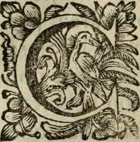 An illustration from Saphira veneziana, e Jacinto portuguez : vida, morte, heroycas virtudes, & maravilhas ràras do gloriosissimo protopatriarcha S. Lourenço Justiniano, e do veneravel padre Antonio da Cõceiçam : livro unico, historico, & panegirico (1677)
