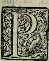 An illustration from Saphira veneziana, e Jacinto portuguez : vida, morte, heroycas virtudes, & maravilhas ràras do gloriosissimo protopatriarcha S. Lourenço Justiniano, e do veneravel padre Antonio da Cõceiçam : livro unico, historico, & panegirico (1677)