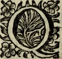 An illustration from Saphira veneziana, e Jacinto portuguez : vida, morte, heroycas virtudes, & maravilhas ràras do gloriosissimo protopatriarcha S. Lourenço Justiniano, e do veneravel padre Antonio da Cõceiçam : livro unico, historico, & panegirico (1677)