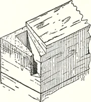 An illustration from Sarcophages antérieurs au Nouvel Empire (1903)
