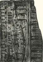 An illustration from Sarcophages de l'époque bubastite à l'époque saïte (1912)