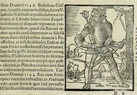 An illustration from Sarmatiae evropeae descriptio : qvae regnvm Poloniae, Litvaniam, Samogitiam, Rvssiam, Massoviam, Prvssiam, Pomeraniam, Livoniam, et Moschoviae Tartariaeqve partem complectitur (1581)
