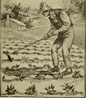 An illustration from Sartor resartus (1900)