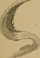 Picture 11 of 36 from Sartor resartus; the life and opinions of Herr Teufelsdröckh (1893), leaf 66
