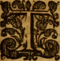An illustration from The saints everlasting rest .. (1653)