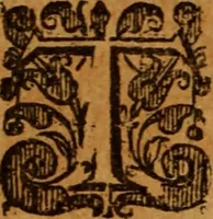 An illustration from The saints everlasting rest .. (1653)