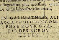 Picture 3 of 6 from Satyre Menippee de la vertu de catholicon d'Espaigne. Et de la tenue des estats de Paris. : Augmentée outre les precedentes impressions tant de l'interpretation du mot de Higuiero d'infierno, & qui en est l'autheur, que du Supplément ou suite du catholicon. . (1600), leaf 25