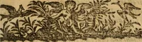 An illustration from Satyres (1613)