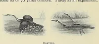 Picture 7 of 13 from Savage Sudan : its wild tribes, big-game and bird-life (1921), leaf 304