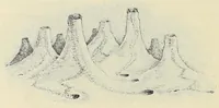 An illustration from Savage Sudan : its wild tribes, big-game and bird-life (1921)