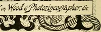 Picture 16 of 37 from The Savoy (1896), leaf 113