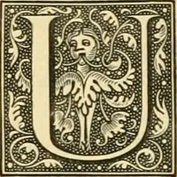 Picture 36 of 37 from The Savoy (1896), leaf 283