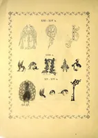 An illustration from Sbornik izobrazhenīĭ Spasiteli︠a︡, Bozhĭeĭ Materi i drugikh svi︠a︡tykh s X v. po XV v.; konechnykh ukrashenīĭ, zastavok, zaglavnykh bukv s 835 g. po XVII v., gravirovannykh s grecheskikh i slavi︠a︡nskikh rukopiseĭ na derevi︠e︡ graverom Ryzhovym (1885)