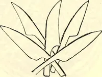 An illustration from Sceaux armoríes des Pays-Bas et des pays avoisinants (Belgique--Royaume des Pays-Bas--Luxembourg--Allemagne--France) recueil historique et héraldique (1898)