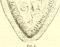 An illustration from Sceaux armoríes des Pays-Bas et des pays avoisinants (Belgique--Royaume des Pays-Bas--Luxembourg--Allemagne--France) recueil historique et héraldique (1898)