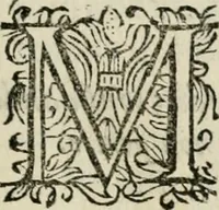 Picture 51 of 119 from Scelta d'alcuni miracoli e grazie della Santissima Nunziata di Firenze (1636), leaf 114