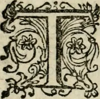 An illustration from Scelta d'alcuni miracoli e grazie della Santissima Nunziata di Firenze (1636)