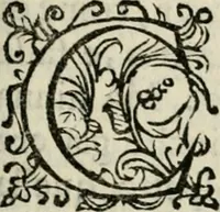 An illustration from Scelta d'alcuni miracoli e grazie della Santissima Nunziata di Firenze (1636)