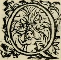 An illustration from Scelta d'alcuni miracoli e grazie della Santissima Nunziata di Firenze (1636)