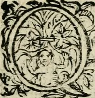 Picture 112 of 119 from Scelta d'alcuni miracoli e grazie della Santissima Nunziata di Firenze (1636), leaf 252