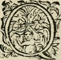An illustration from Scelta d'alcuni miracoli e grazie della Santissima Nunziata di Firenze (1636)