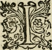 An illustration from Scelta d'alcuni miracoli e grazie della Santissima Nunziata di Firenze (1636)