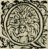 An illustration from Scelta d'alcuni miracoli e grazie della Santissima Nunziata di Firenze (1636)