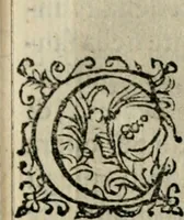 An illustration from Scelta d'alcuni miracoli e grazie della Santissima Nunziata di Firenze (1636)