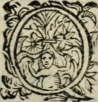 Picture 42 of 119 from Scelta d'alcuni miracoli e grazie della Santissima Nunziata di Firenze (1636), leaf 94