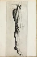 Picture 16 of 17 from Scelta di disegni del Caracci, Parmegiani et di Guido Reni (1660), leaf 61