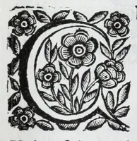 Picture 11 of 68 from Scena letteraria de gli scrittori Bergamaschi : aperta alla curiosita' de suoi concittadini (1664), leaf 112