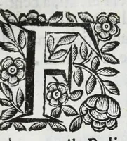 An illustration from Scena letteraria de gli scrittori Bergamaschi : aperta alla curiosita' de suoi concittadini (1664)