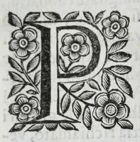 An illustration from Scena letteraria de gli scrittori Bergamaschi : aperta alla curiosita' de suoi concittadini (1664)