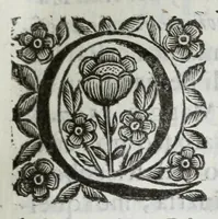Picture 23 of 68 from Scena letteraria de gli scrittori Bergamaschi : aperta alla curiosita' de suoi concittadini (1664), leaf 195