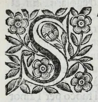 An illustration from Scena letteraria de gli scrittori Bergamaschi : aperta alla curiosita' de suoi concittadini (1664)