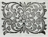 An illustration from Scena letteraria de gli scrittori Bergamaschi : aperta alla curiosita' de suoi concittadini (1664)