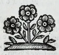 An illustration from Scena letteraria de gli scrittori Bergamaschi : aperta alla curiosita' de suoi concittadini (1664)