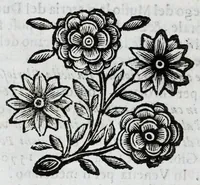 Picture 34 of 68 from Scena letteraria de gli scrittori Bergamaschi : aperta alla curiosita' de suoi concittadini (1664), leaf 304