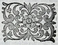 Picture 35 of 68 from Scena letteraria de gli scrittori Bergamaschi : aperta alla curiosita' de suoi concittadini (1664), leaf 320