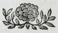 Picture 39 of 68 from Scena letteraria de gli scrittori Bergamaschi : aperta alla curiosita' de suoi concittadini (1664), leaf 394
