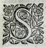 Picture 41 of 68 from Scena letteraria de gli scrittori Bergamaschi : aperta alla curiosita' de suoi concittadini (1664), leaf 413